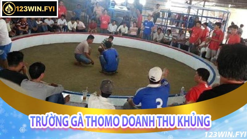 Doanh Thu Của Trường Gà Thomo