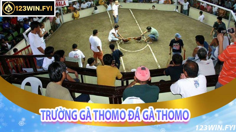 Thông Tin Về Trường Gà Thomo Đá Gà Thomo