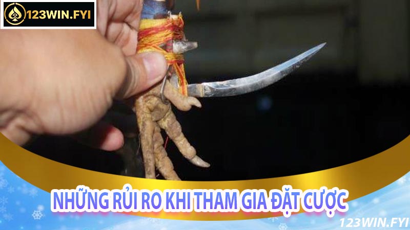 Những Rủi Ro Khi Tham Gia Đặt Cược Vào Đá Gà Cựa Dao