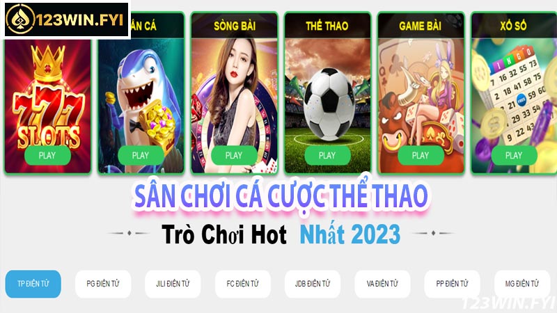 Thông tin về sân chơi cá cược thể thao 123Win